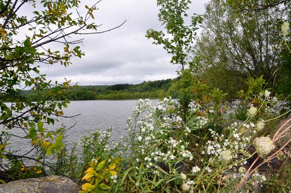 Lake Gogebic 